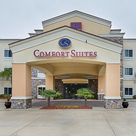 Comfort Suites Leesville المظهر الخارجي الصورة